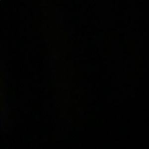 Meet your Posher, Shilo